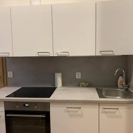 Apartment Brand New Prag