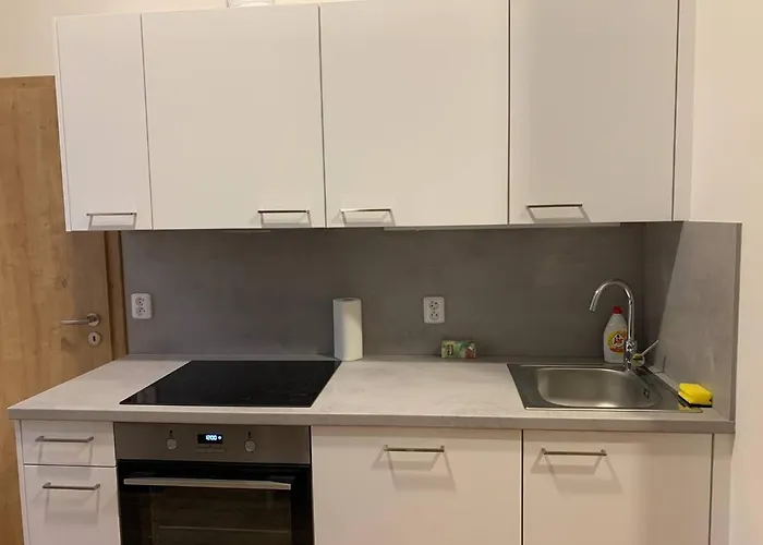 Apartment Brand New Prag